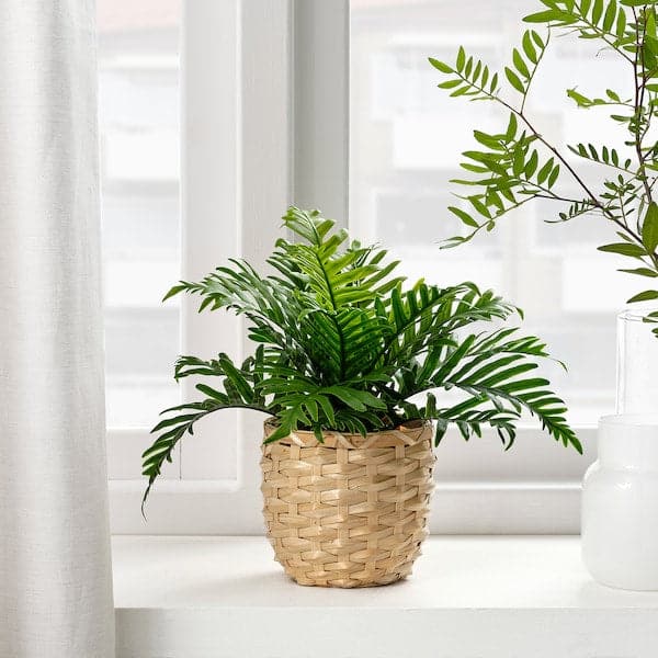 Ikea FEJKA - Artificial potted plant, in/outdoor Whitley Giant, 9 cm
