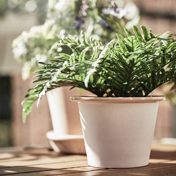 Ikea FEJKA - Artificial potted plant, in/outdoor Whitley Giant, 9 cm