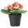 FEJKA artificial potted plant, in/outdoor/primula orange, 9 cm
