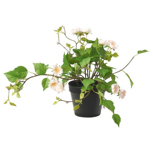 FEJKA - Artificial potted plant, in/outdoor/Rose light pink, 12 cm