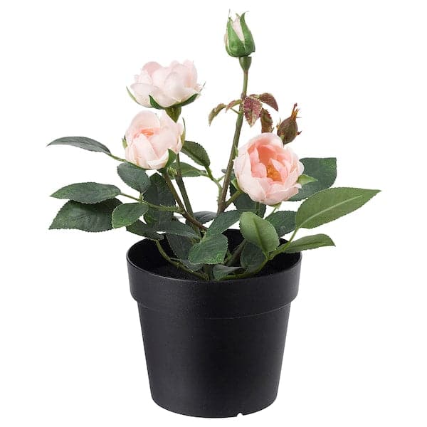 FEJKA - Artificial potted plant, in/outdoor/Rose pink, 9 cm - best price from Maltashopper.com 00395313