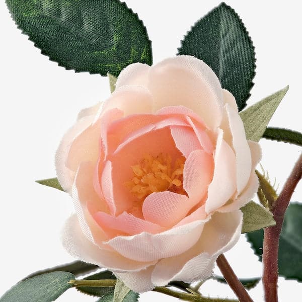 FEJKA - Artificial potted plant, in/outdoor/Rose pink, 9 cm - best price from Maltashopper.com 00395313