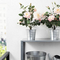 FEJKA - Artificial potted plant, in/outdoor/Rose pink, 12 cm - best price from Maltashopper.com 90532773
