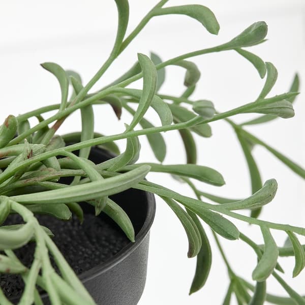 Ikea FEJKA - Artificial potted plant, in/outdoor/String of bananas hanging, 9 cm