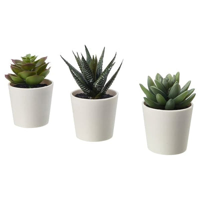 FEJKA - Artificial potted plant with pot, in/outdoor Succulent, 6 cm 3 pack - best price from Maltashopper.com 50519764