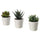 FEJKA artificial potted plant with pot, in/outdoor Succulent, 6 cm, 3 pack