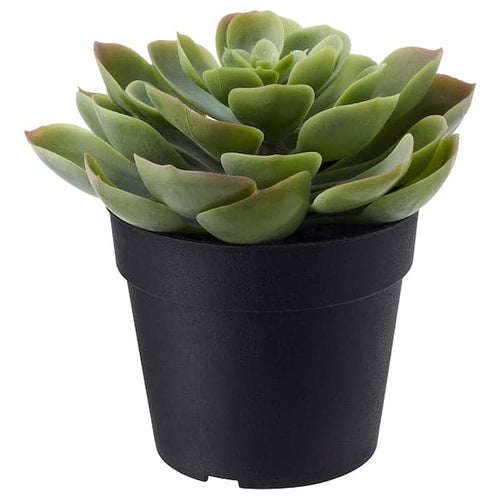 FEJKA - Artificial potted plant, in/outdoor Succulent, 9 cm