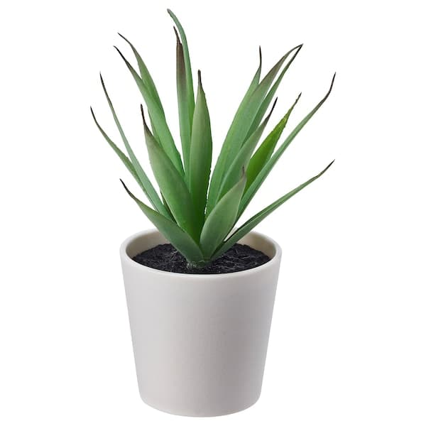 FEJKA - Artificial potted plant with pot, in/outdoor Succulent