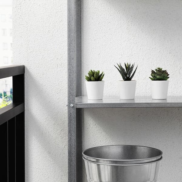 FEJKA - Artificial potted plant with pot, in/outdoor Succulent, 6 cm 3 pack - best price from Maltashopper.com 50519764