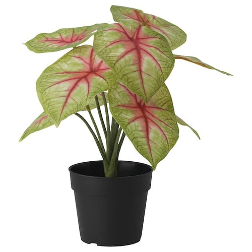 FEJKA - Artificial potted plant, in/outdoor dasheen, 9 cm