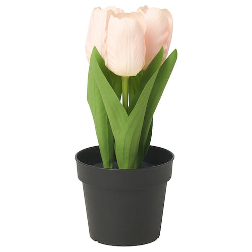 FEJKA - Artificial potted plant, in/outdoor/tulip pink, 9 cm
