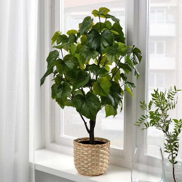 FEJKA - Artificial potted plant, in/outdoor Crimson glory vine, 15 cm - best price from Maltashopper.com 00493342
