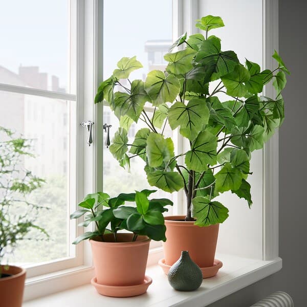 FEJKA - Artificial potted plant, in/outdoor Crimson glory vine, 15 cm - best price from Maltashopper.com 00493342