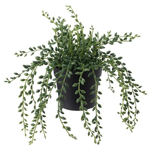 FEJKA - Artificial potted plant, in/outdoor String of beads, 9 cm