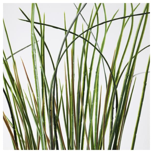 FEJKA - Artificial potted plant, grass, 17 cm - best price from Maltashopper.com 70186660