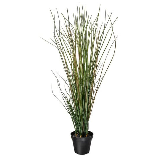 Ikea FEJKA - Artificial potted plant, grass, 17 cm