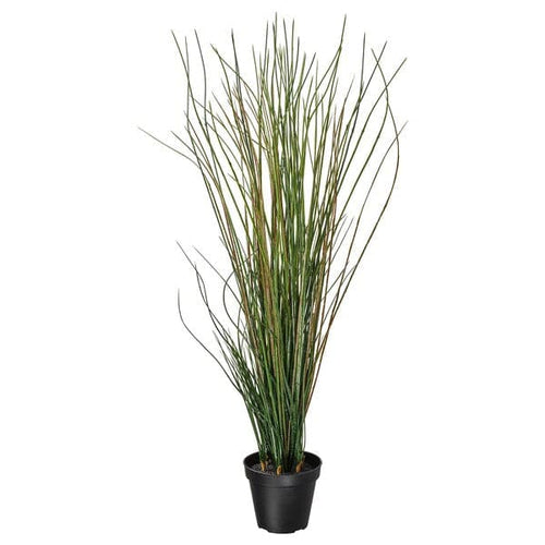 FEJKA - Artificial potted plant, grass, 17 cm