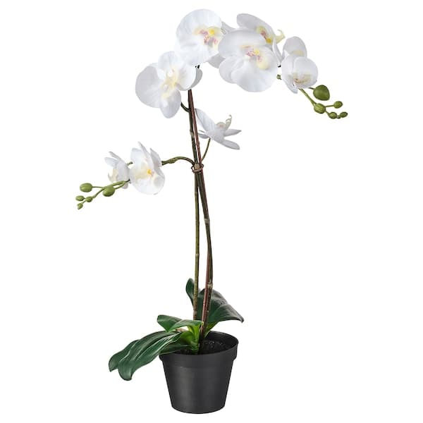 FEJKA - Artificial potted plant, Orchid white, 12 cm - best price from Maltashopper.com 80285909