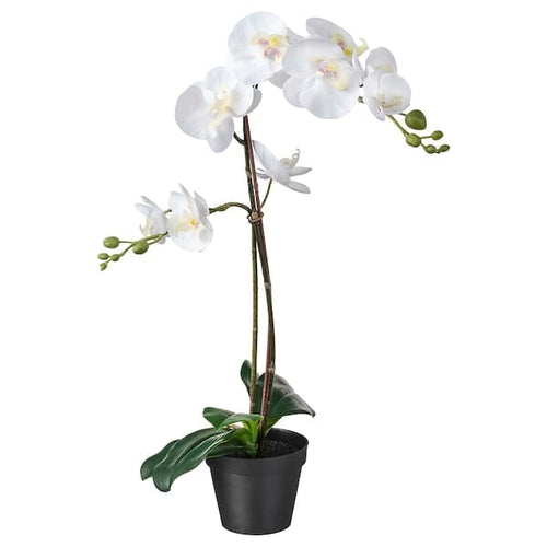 FEJKA - Artificial potted plant, Orchid white, 12 cm