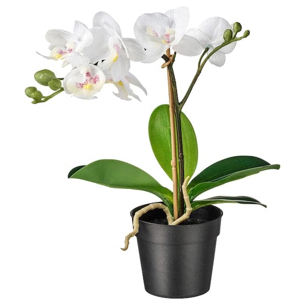 FEJKA - Artificial potted plant, Orchid white