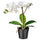 FEJKA artificial potted plant, Orchid white, 9 cm