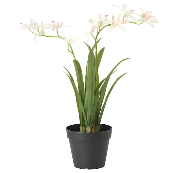 FEJKA - Artificial potted plant, yellow orchid, 12 cm - best price from Maltashopper.com 70548303
