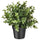 FEJKA artificial potted plant, oregano, 9 cm