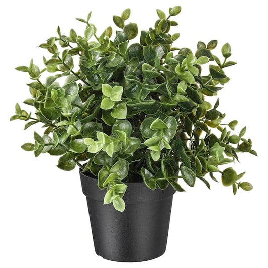 FEJKA - Artificial potted plant, oregano, 9 cm - best price from Maltashopper.com 10375159