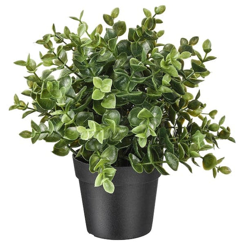 FEJKA - Artificial potted plant, oregano, 9 cm