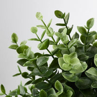 FEJKA - Artificial potted plant, oregano, 9 cm - best price from Maltashopper.com 10375159