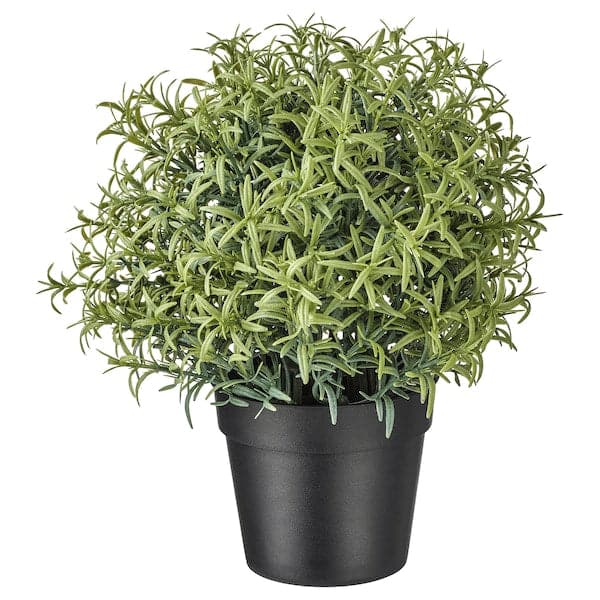 FEJKA - Artificial potted plant, Rosemary
