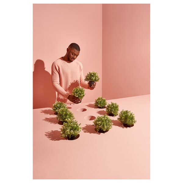 FEJKA - Artificial potted plant, thyme, 9 cm - best price from Maltashopper.com 90375155