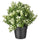 FEJKA artificial potted plant, thyme, 9 cm
