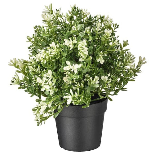 FEJKA - Artificial potted plant, thyme, 9 cm