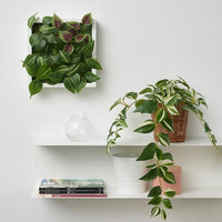 FEJKA - Artificial plant, wall mounted/in/outdoor green/lilac, 26x26 cm - best price from Maltashopper.com 50546569