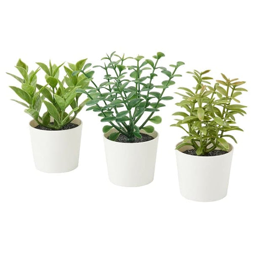 FEJKA - Artifi potted plant w pot, set of 3, in/outdoor herbs, 5 cm