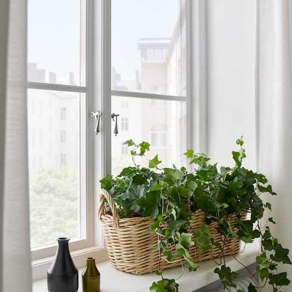 Ikea FLODBJÖRK - Flower box, in/outdoor light grey-brown, 54x21 cm