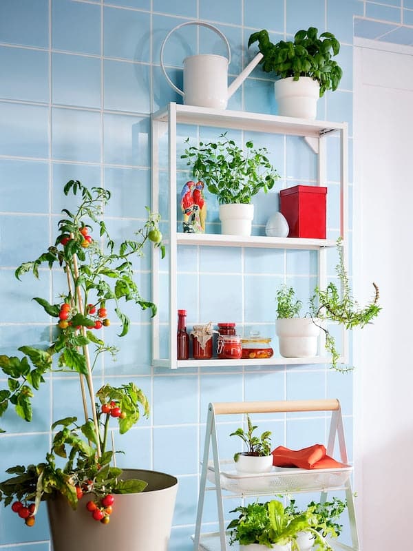 Ikea FÖRENLIG - Plant pot, in/outdoor white, 12 cm