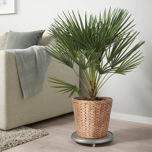 Ikea FRIDFULL - Plant pot, water hyacinth, 24 cm