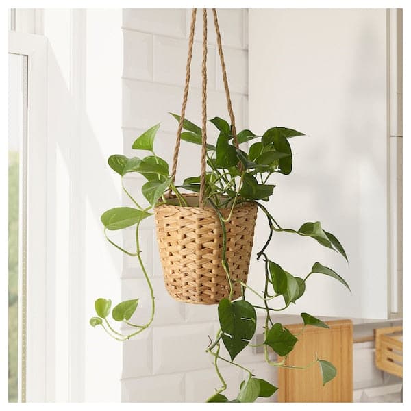 Ikea FRIDFULL - Hanging pot holder, water hyacinth, , 12 cm