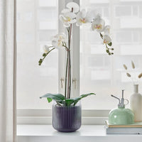 GRADVIS - Plant pot, in/outdoor grey, 12 cm - best price from Maltashopper.com 10502930