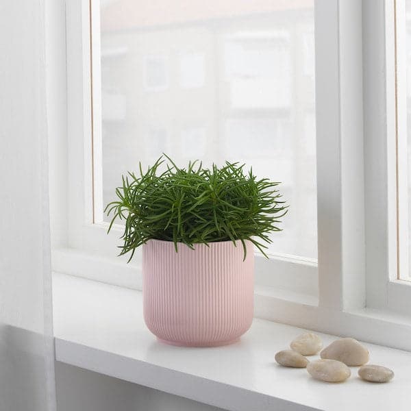 GRADVIS - Plant pot, pink, 12 cm - best price from Maltashopper.com 60414078