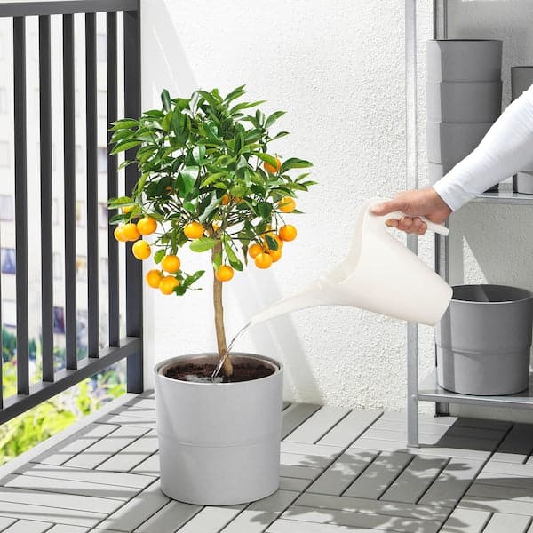 IKEA PS 2002 - Watering can, white, 1.2 l - best price from Maltashopper.com 60289946