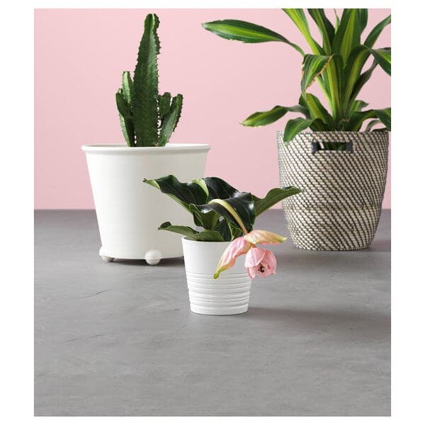 IKEA PS FEJÖ - Self-watering plant pot, white, 32 cm - best price from Maltashopper.com 20039394