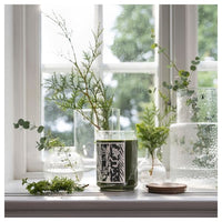 JÄMTSKOGEN - Scented cndl in glass w lid/2 wicks, cypress & eucalyptus/dark green, 100 hr - best price from Maltashopper.com 10552393