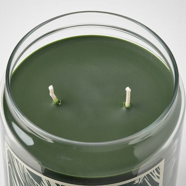 JÄMTSKOGEN - Scented cndl in glass w lid/2 wicks, cypress & eucalyptus/dark green, 100 hr - Premium  from Ikea - Just €25.99! Shop now at Maltashopper.com
