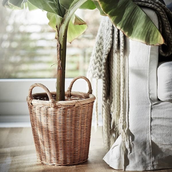 Ikea KAKTUSFIKON - Plant pot, rattan, 24 cm