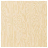 KALBÅDEN door with hinges, lively pine effect, 60x60 cm