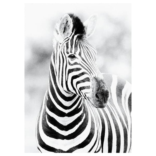 Ikea KATEBO - Poster , 50x70 cm