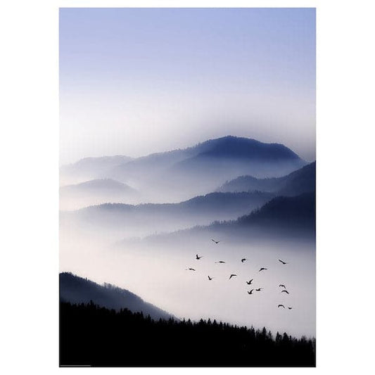 Ikea KATEBO - Poster ,